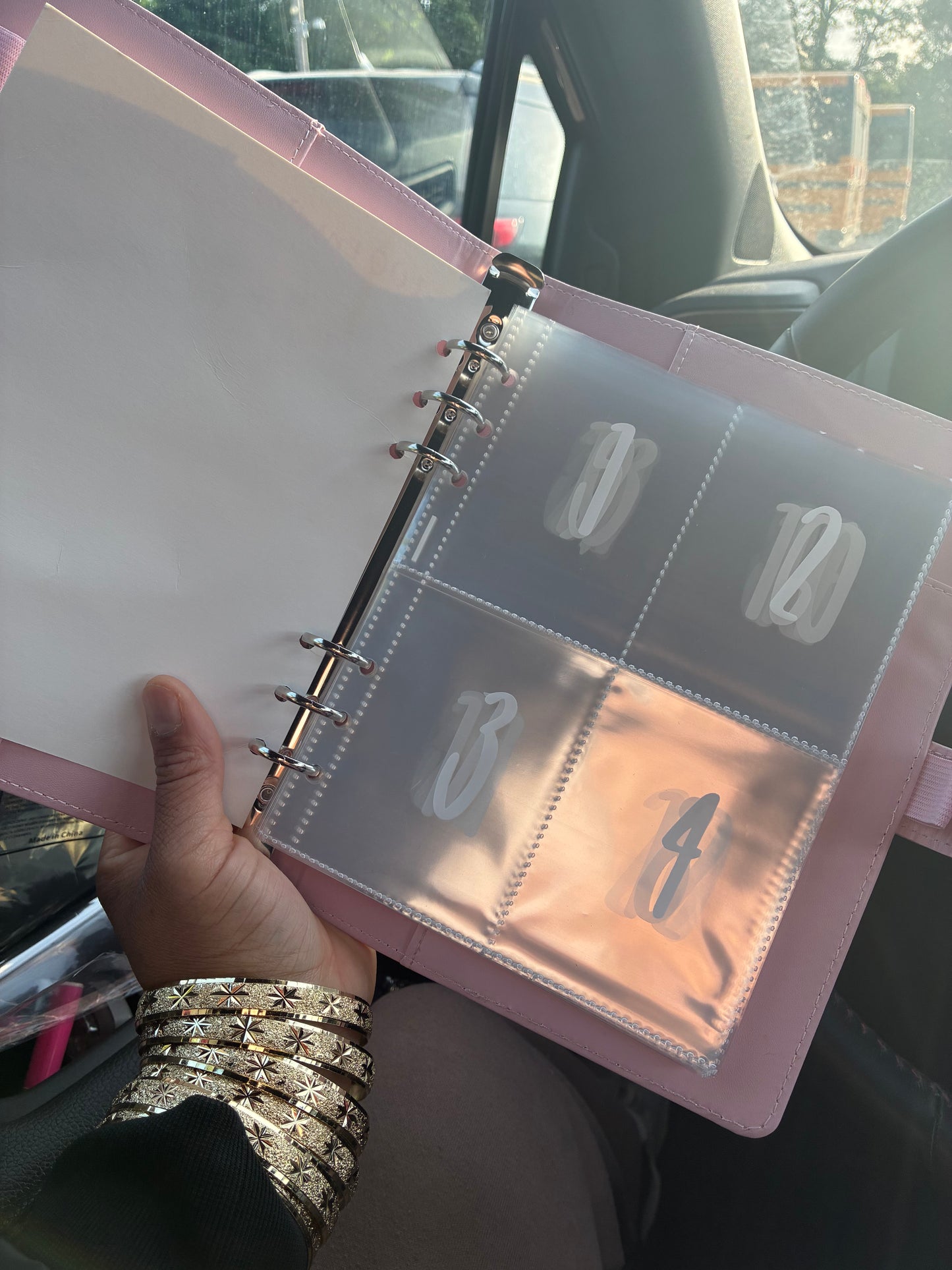 Saving Girl Era $5,050 Challenge Binder